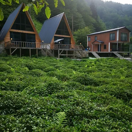 Villa Mariposa Luxury House *